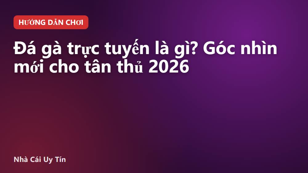 Đá gà trực tuyến là gì? Góc nhìn mới cho tân thủ 2026